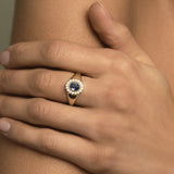 Ceylon Sapphire Halo Signet